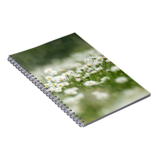 Carnet Daisy Meadow (Côté Droit)
