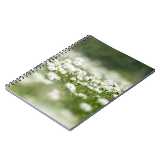 Carnet Daisy Meadow (Côté gauche)