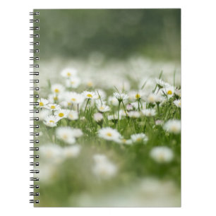 Carnet Daisy Meadow