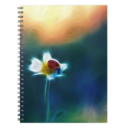 Carnet Daisybug (Devant)