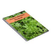 Carnet d'allocation de carottes (Côté Droit)