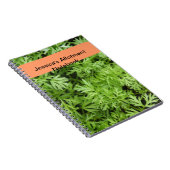 Carnet d'allocation de carottes (Côté Droit)