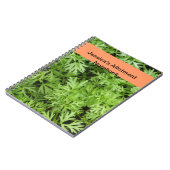 Carnet d'allocation de carottes (Côté gauche)