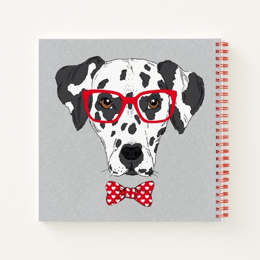 Carnet Dalmatie à la mode (Dos)