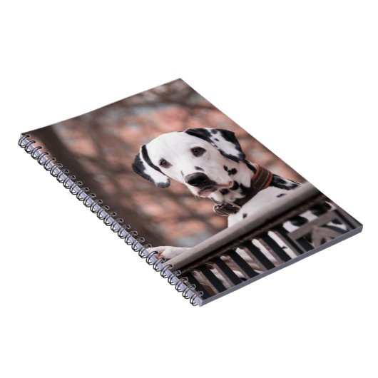 Carnet Dalmatien (Côté Droit)