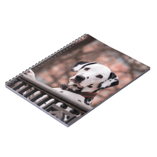 Carnet Dalmatien (Côté gauche)