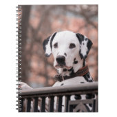 Carnet Dalmatien (Devant)