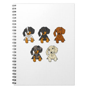 Carnet Dalmatien