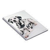 Carnet Dalmatien 4 (Côté Droit)