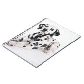 Carnet Dalmatien 4 (Côté gauche)