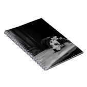 Carnet dalmatien de peinture (Côté Droit)