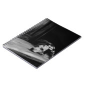 Carnet dalmatien de peinture (Côté gauche)