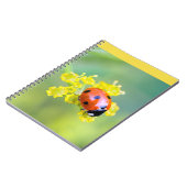 Carnet dame sur le dessus (Côté gauche)