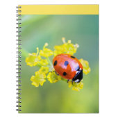 Carnet dame sur le dessus (Devant)