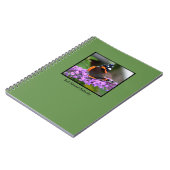 Carnet d'amiral assez rouge papillon (Côté gauche)