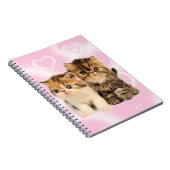 Carnet d'amis (Côté Droit)