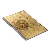 Carnet d'anatomie du foetus de da Vinci (Côté Droit)