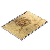 Carnet d'anatomie du foetus de da Vinci (Côté gauche)