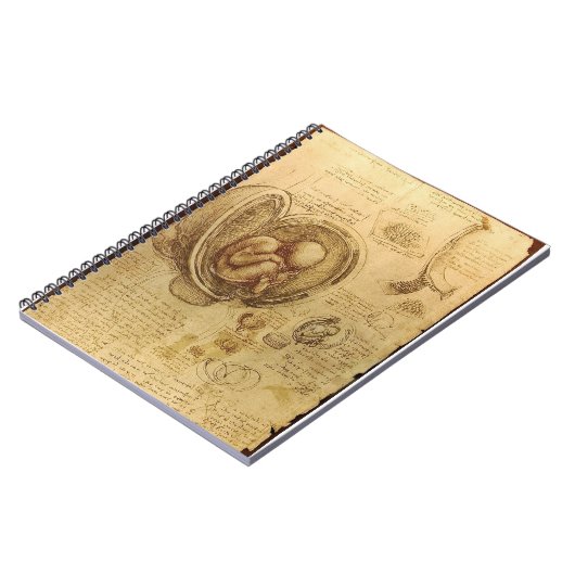 Carnet d'anatomie du foetus de da Vinci (Côté gauche)