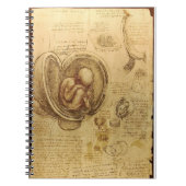 Carnet d'anatomie du foetus de da Vinci (Devant)