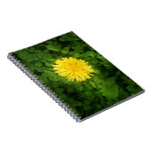 Carnet Dandelion (Côté Droit)