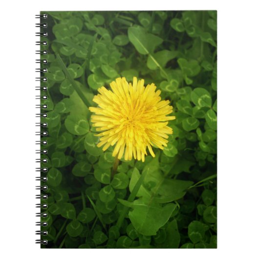 Carnet Dandelion (Devant)