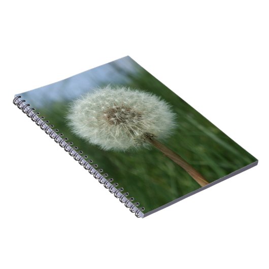 Carnet Dandelion (Côté Droit)