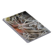 Carnet Dandelion Abstrait (Côté Droit)