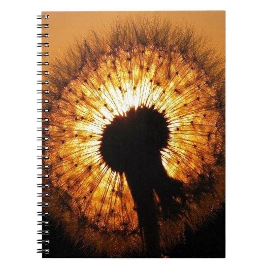 Carnet Dandelion au coucher du soleil (Devant)