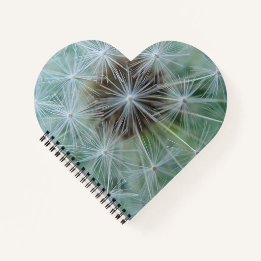 Carnet Dandelion blanc (Devant)