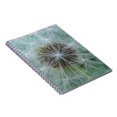 Carnet Dandelion blanc (Côté Droit)