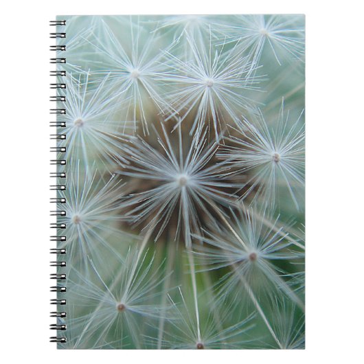 Carnet Dandelion blanc (Devant)