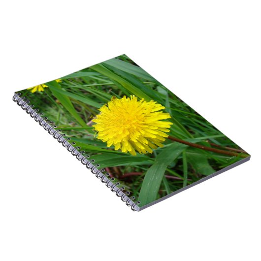 Carnet Dandelion F45 (Côté Droit)