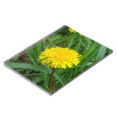 Carnet Dandelion F45 (Côté gauche)