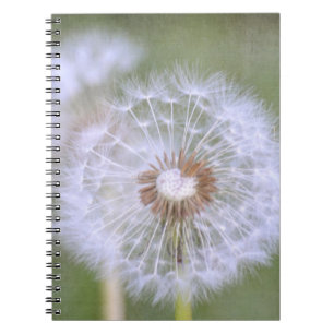 Carnet Dandelion Flowers