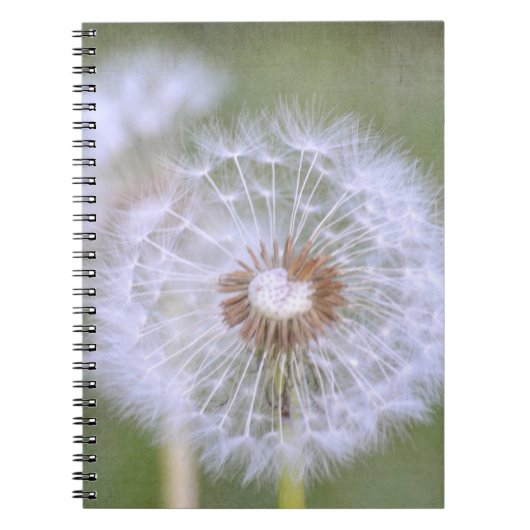 Carnet Dandelion Flowers (Devant)