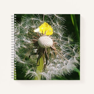 Carnet Dandelion mignon