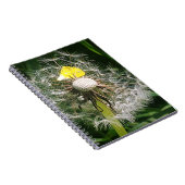Carnet Dandelion mignon (Côté Droit)