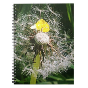 Carnet Dandelion mignon