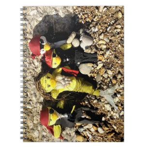 Carnet Danni la Sirène et les Pirates