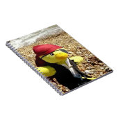 Carnet Danny Duck le Pirate (Côté Droit)