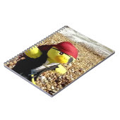 Carnet Danny Duck le Pirate (Côté gauche)