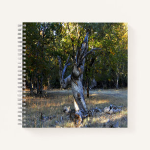 Carnet Dans la forêt....