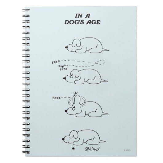 Carnet Dans l'âge d'un chien (Devant)