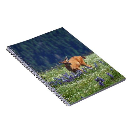 Carnet Dans le pré (Côté Droit)