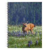 Carnet Dans le pré (Devant)