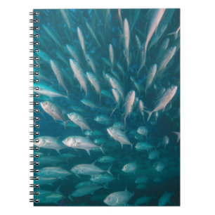 Carnet Dans les crics