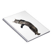 Carnet Danse d'Asio (Côté Droit)