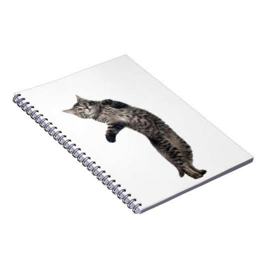 Carnet Danse d'Asio (Côté Droit)