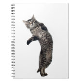 Carnet Danse d'Asio (Devant)